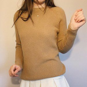 Brown Aritzia Sweater